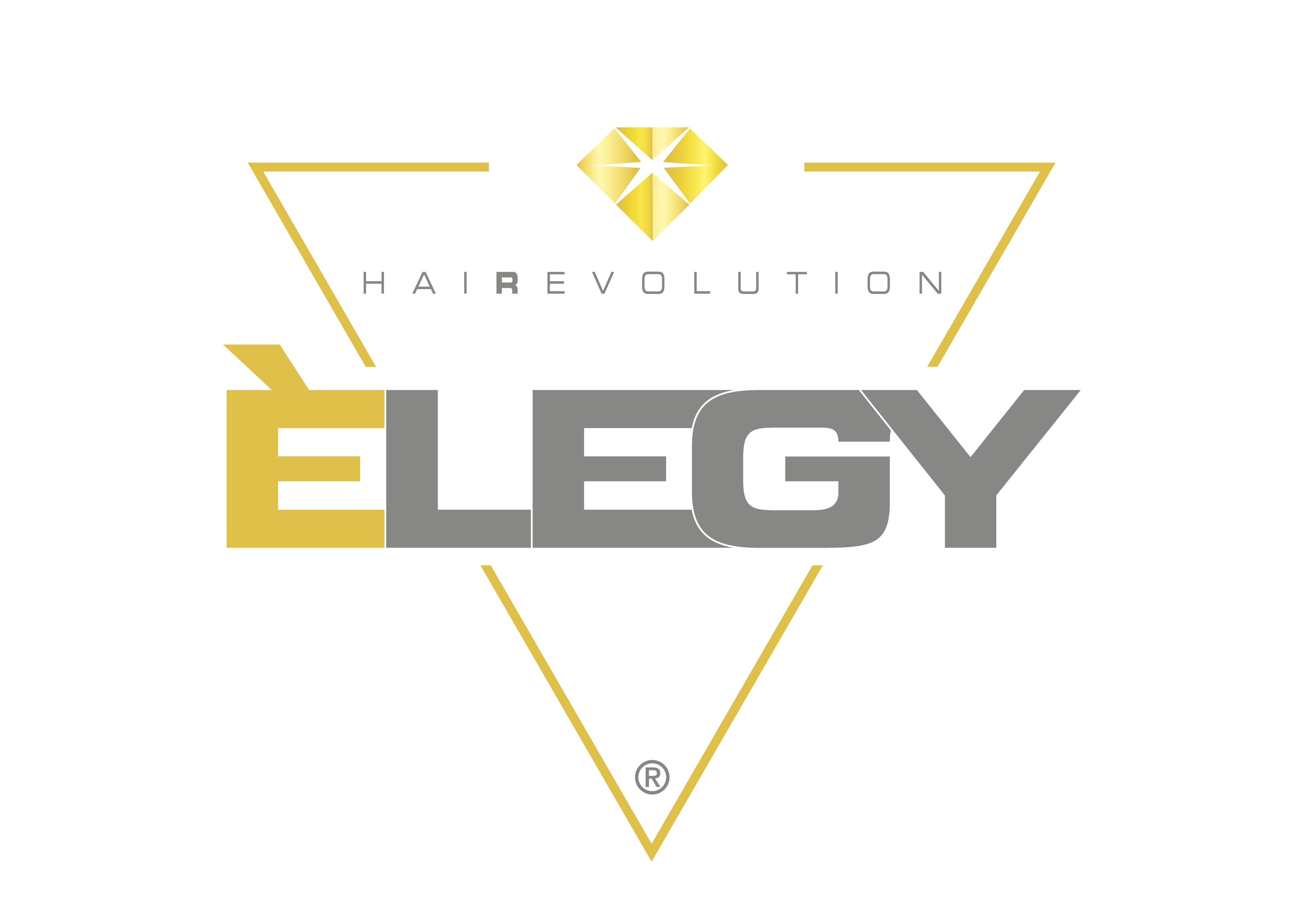 Logo Elegy Hair Care